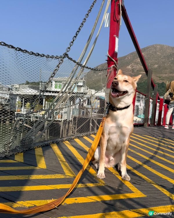 ❤️大澳一天遊❤️