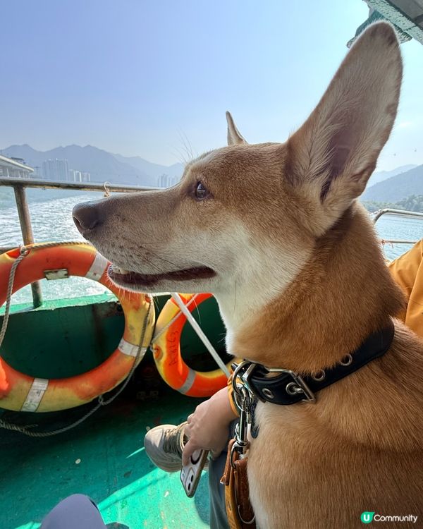 ❤️大澳一天遊❤️