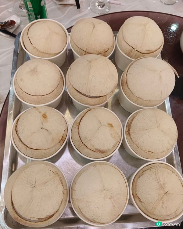 椰皇燕窩燉鮮奶