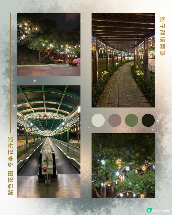 紫色花海夢幻夜 💜🌸