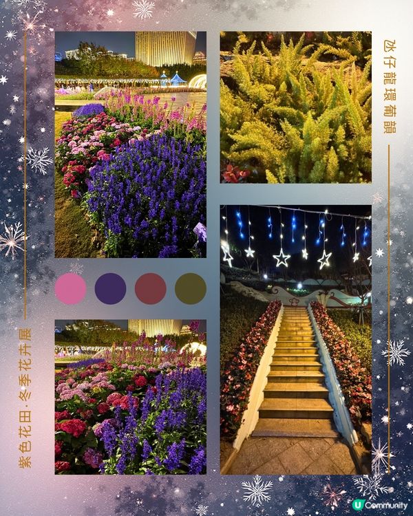 紫色花海夢幻夜 💜🌸