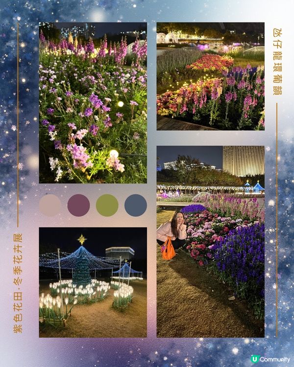 紫色花海夢幻夜 💜🌸