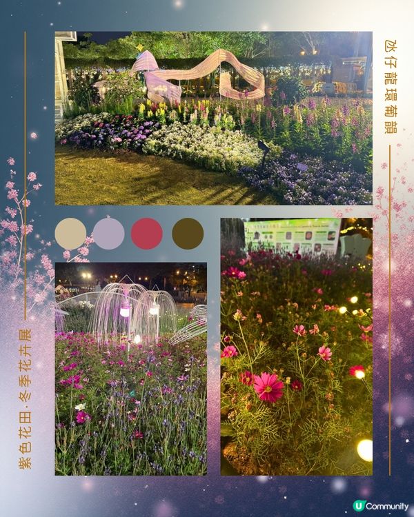 紫色花海夢幻夜 💜🌸