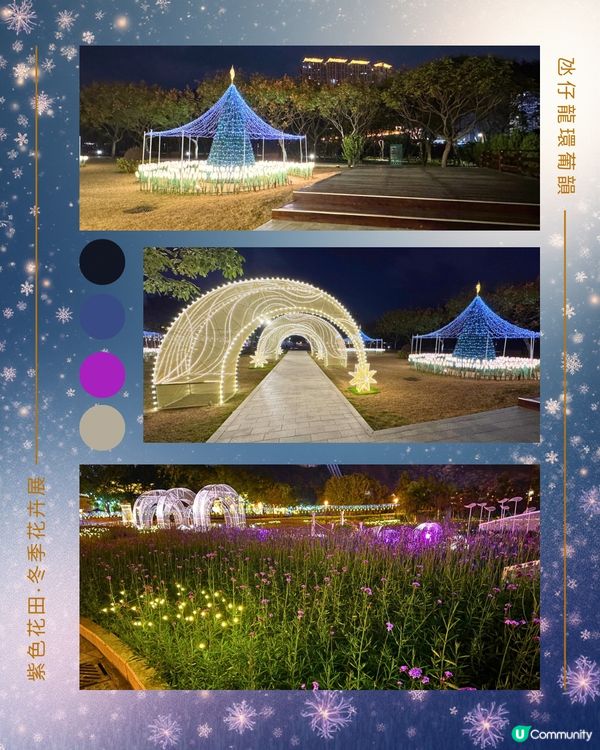 紫色花海夢幻夜 💜🌸