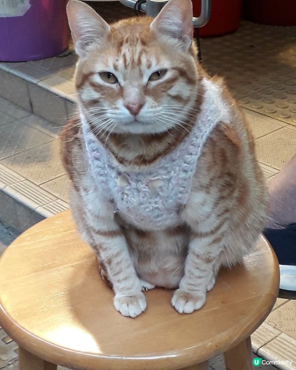 天氣凍，記得加件衫