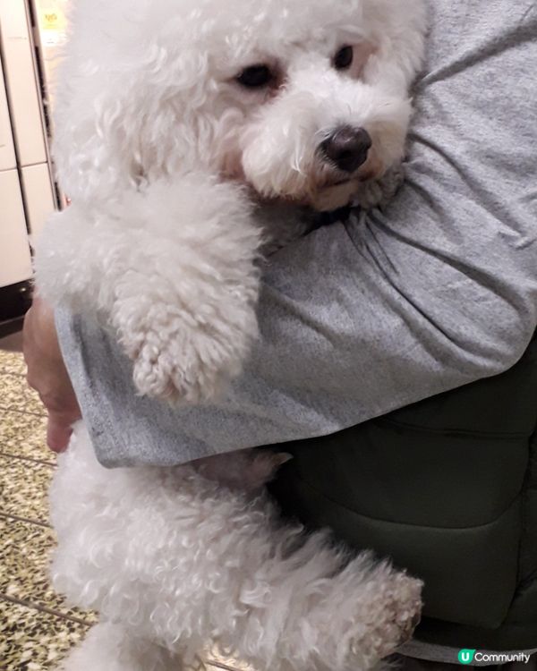 天氣凍，記得加件衫