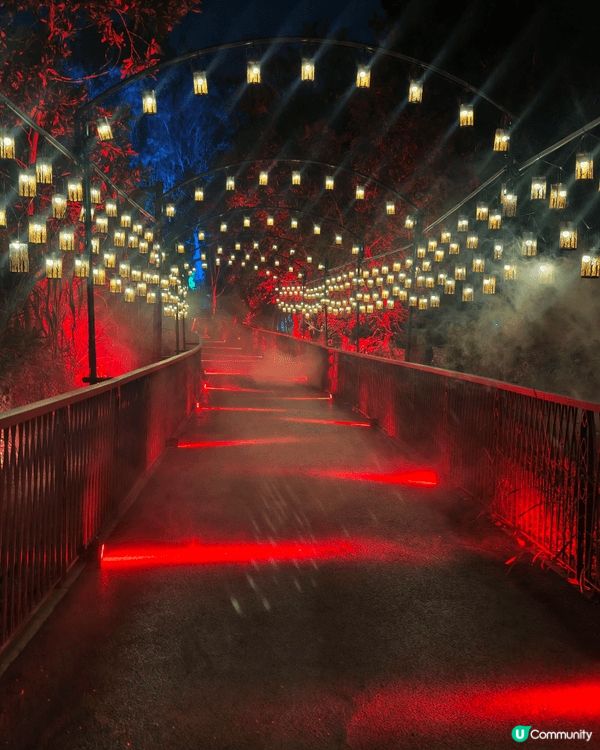 終於去左深圳哈利波特禁林體驗！全程 90 分鐘的體驗，揮動魔...