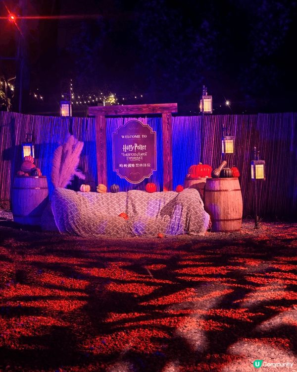 終於去左深圳哈利波特禁林體驗！全程 90 分鐘的體驗，揮動魔...