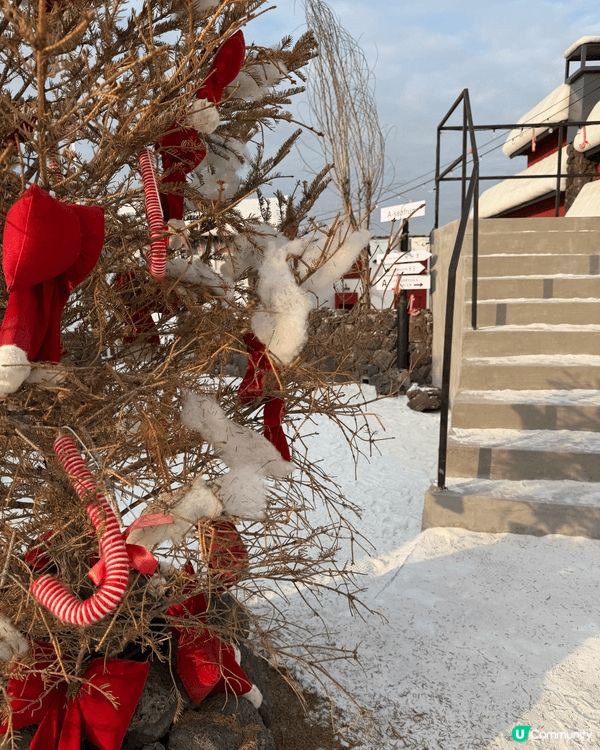 我同男朋友聖誕節當日呢就去咗深圳一間好似去咗日本同韓國咁樣嘅...