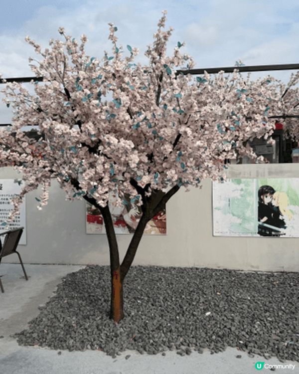 我同男朋友聖誕節當日呢就去咗深圳一間好似去咗日本同韓國咁樣嘅...