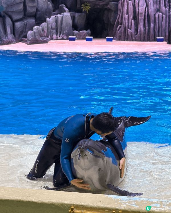 海洋生物 可以好近距離接觸 體驗下動物的生活 當中都有機動遊...