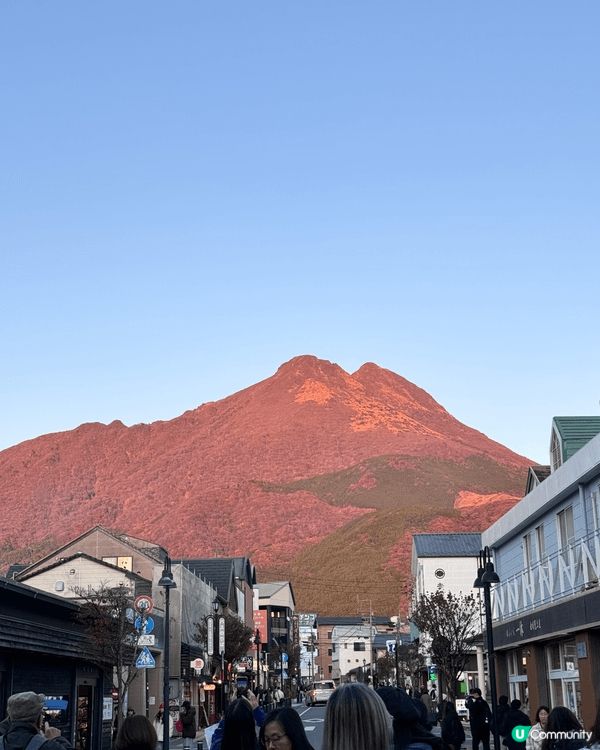 最近我去了日本福岡的由布院，專程搭了超有名的由布院之森列車。...