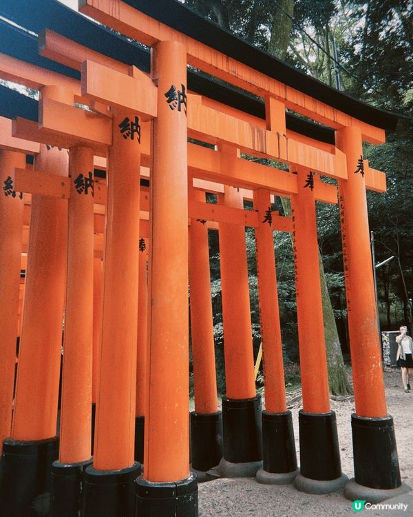 和家人去了日本大阪，日本街頭，滿眼都是新鮮感，隨手一拍都是好...