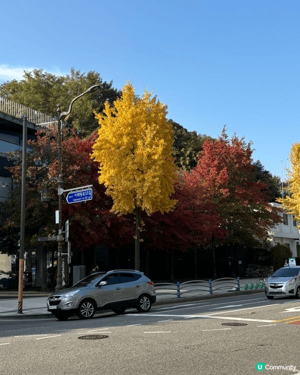 這次旅行去了韓國，那時候的紅葉剛開始轉紅，十分適合打卡