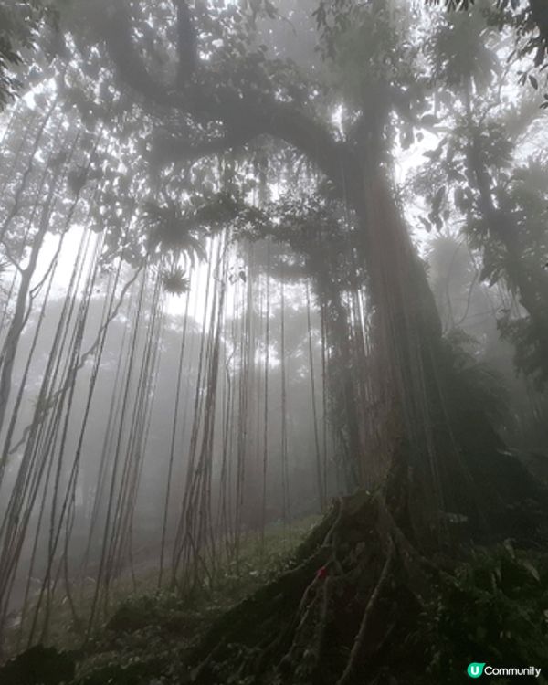 海口。沿海一帶好凍，又大風。天色唔好，真係好掃興
