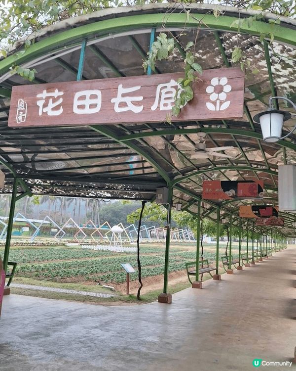 佛山 > 盈香心動樂園#北上度假計劃