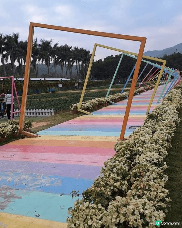 佛山 > 盈香心動樂園#北上度假計劃