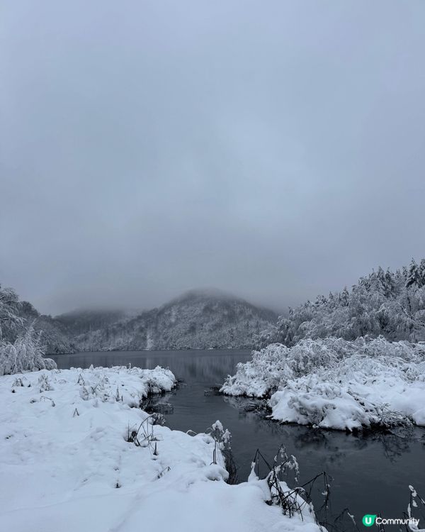 克羅地亞十六湖的冬天雪景，真係好靚，所有的樹枝都覆蓋了白雪，...