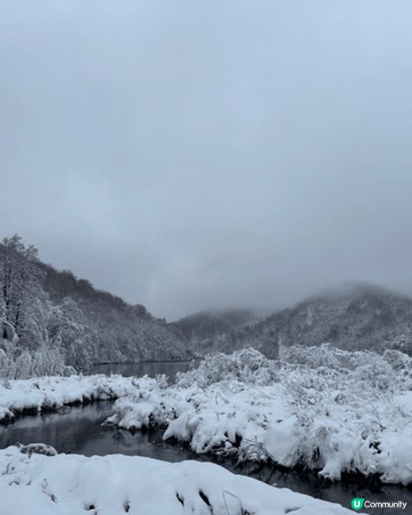 克羅地亞十六湖的冬天雪景，真係好靚，所有的樹枝都覆蓋了白雪，...