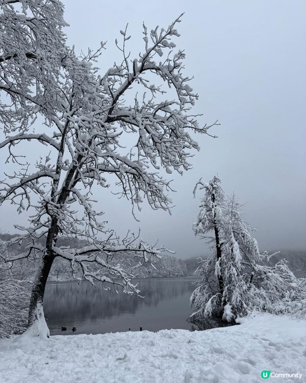 克羅地亞十六湖的冬天雪景，真係好靚，所有的樹枝都覆蓋了白雪，...