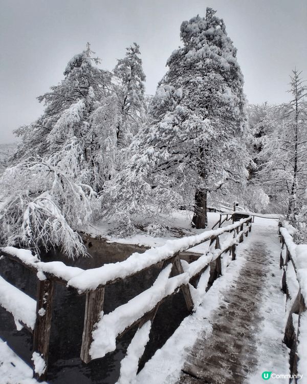 克羅地亞十六湖的冬天雪景，真係好靚，所有的樹枝都覆蓋了白雪，...