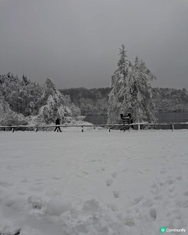 克羅地亞十六湖的冬天雪景，真係好靚，所有的樹枝都覆蓋了白雪，...