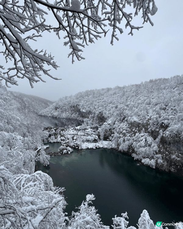克羅地亞十六湖的冬天雪景，真係好靚，所有的樹枝都覆蓋了白雪，...