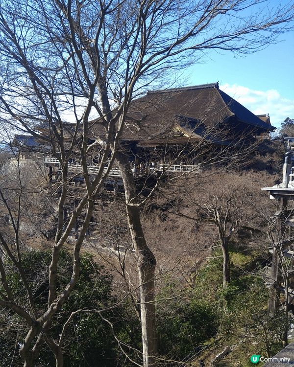 大板清水寺，十分奇妙的寺廟，建築風格非常獨特有魅力，令人難忘...