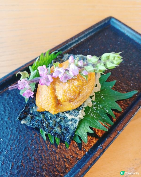 城門河畔靚景+美食！火蓮花值回票價！🤩