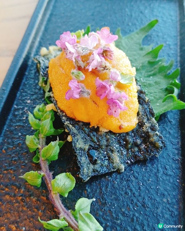 城門河畔靚景+美食！火蓮花值回票價！🤩