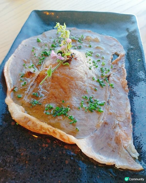 城門河畔靚景+美食！火蓮花值回票價！🤩