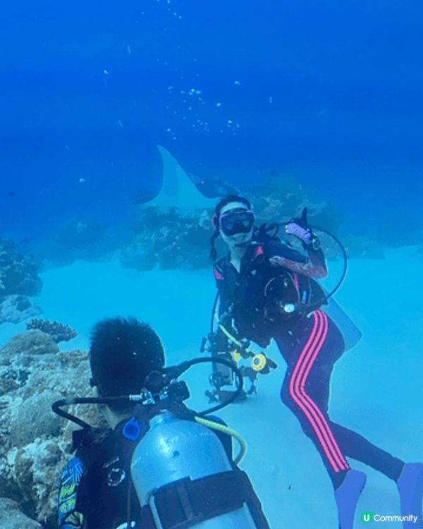 Diving in Palau and eating loc...