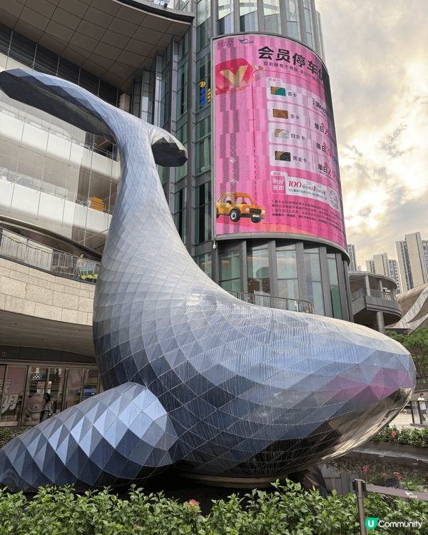 深圳光明行