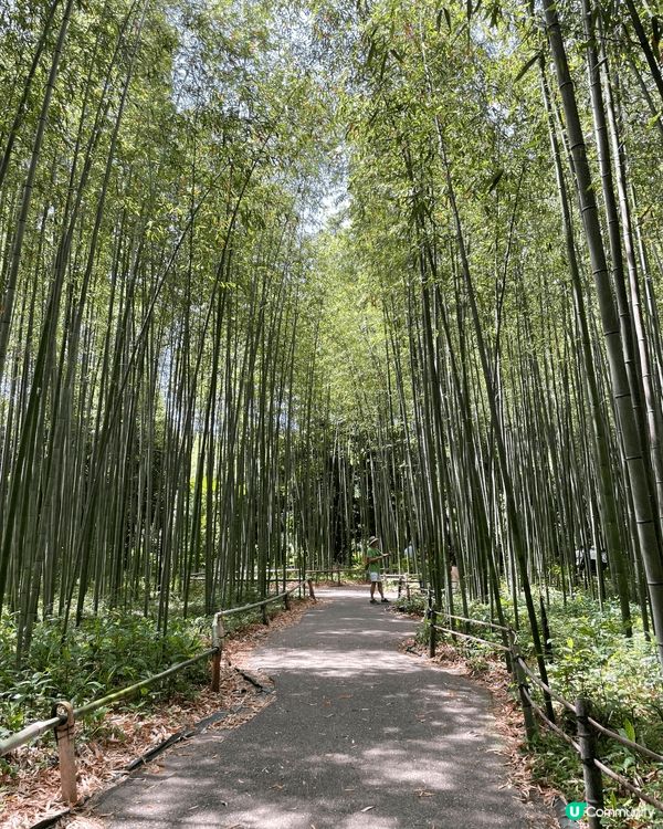 圖片展示了旅途中遇到的自然風景與生活片段，畫面寧靜舒服，能讓...