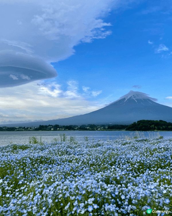 圖片展示了旅途中遇到的自然風景與生活片段，畫面寧靜舒服，能讓...