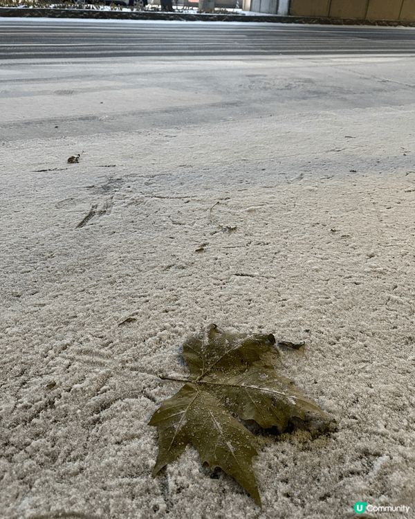 係12月充滿聖誕氣氛嘅北海道札幌街頭