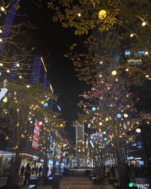 2025深圳光影藝術季南山展區，將以光為筆、以城為卷，為市民...