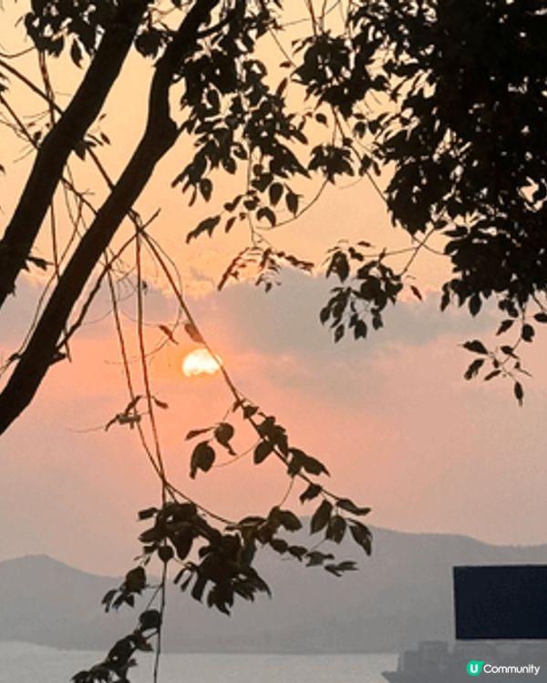 在香港海洋公園拍了可愛小熊貓（紅貓熊），拍了超美的和昏日落🌅...