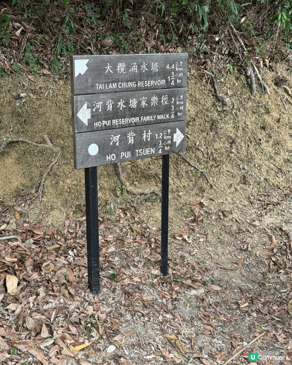 #OK即刻有 **  元朗好去處  遊水塘  晨早空氣清新開...