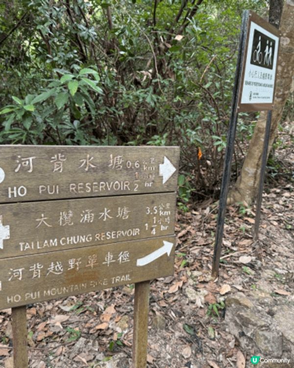 #OK即刻有 **  元朗好去處  遊水塘  晨早空氣清新開...