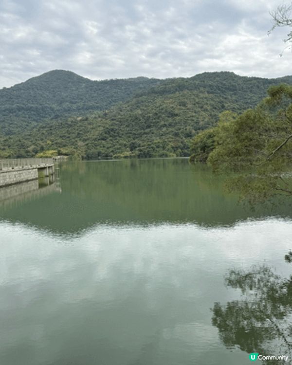 #OK即刻有 **  元朗好去處  遊水塘  晨早空氣清新開...