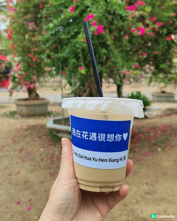 順德陳村花卉世界一年到晚都有花睇但係最靚都係11月尾睇勒杜鵑...