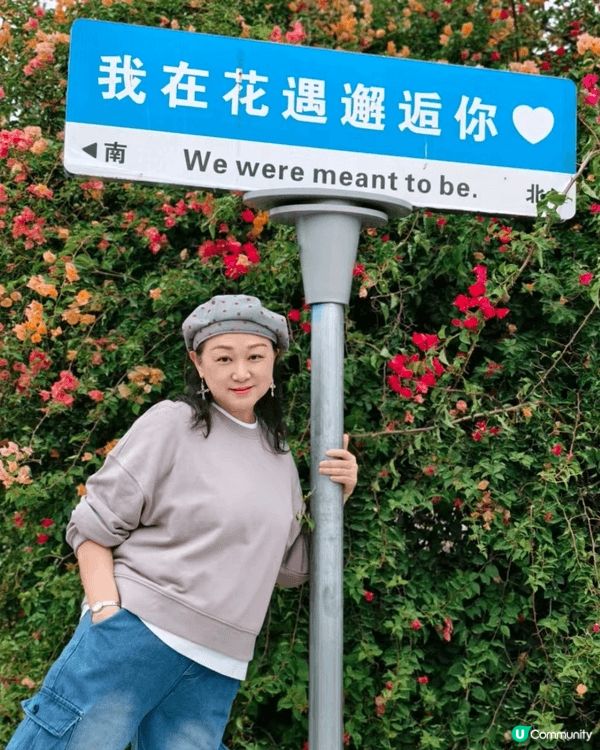 順德陳村花卉世界一年到晚都有花睇但係最靚都係11月尾睇勒杜鵑...