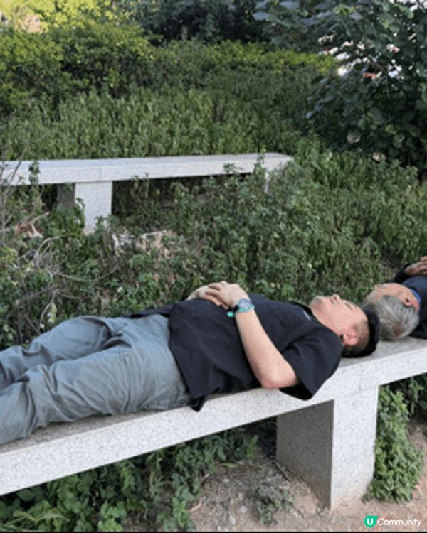泉州，福建省的文化名城，以豐富的歷史遺跡和獨特的民俗風情著稱...