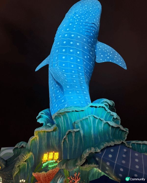 珠海長隆海洋世界，壯觀的鯨鯊。