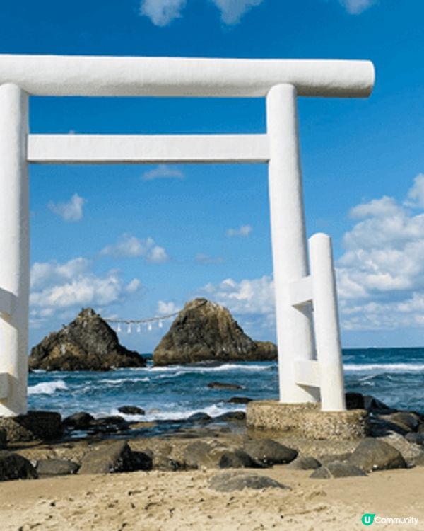 珠海長隆海洋世界，壯觀的鯨鯊。