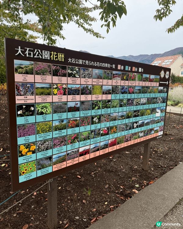一年四季都有不一樣的富士山景色。