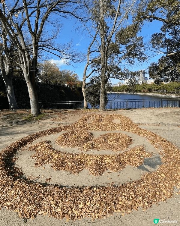 日本係我最鍾意嘅旅行地方，每年都會去幾次，去極都唔厭，最鍾意...