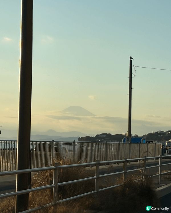 首次看到如此清晰的富士山景，令我十分感動。在日本Costco...
