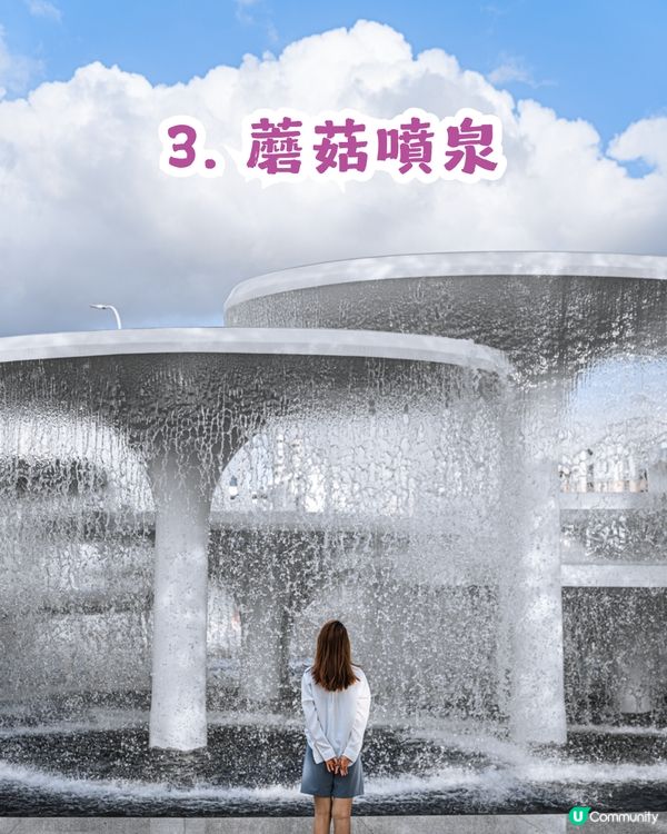 深圳福田區蓮花山公園3大打卡點📸簕杜鵑花海/蘑菇噴泉/落羽杉